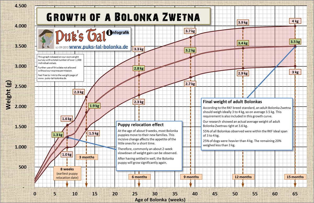 Weight graph for Tsvetnaya Bolonka puppies